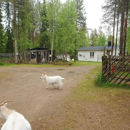 Kilun Ja Martan Huvila * Ylikitka